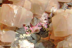 Erythrin-2