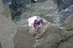 DSC03513