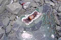 DSC03529