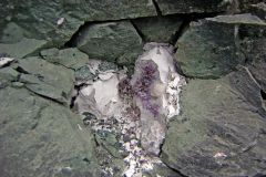 DSC03536